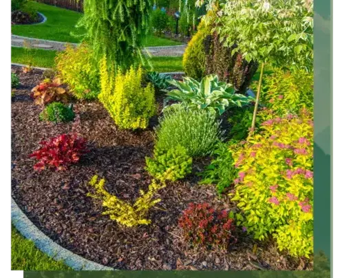 abattage arbre à Arradon - image 4