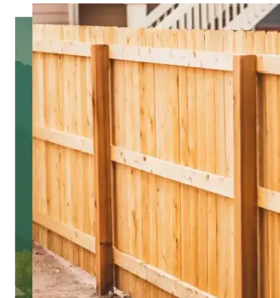 abattage arbre Arradon-5