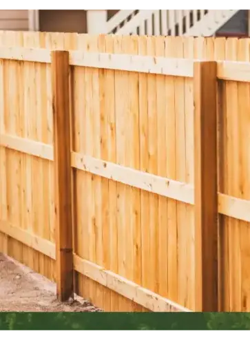 abattage arbre Auray-1