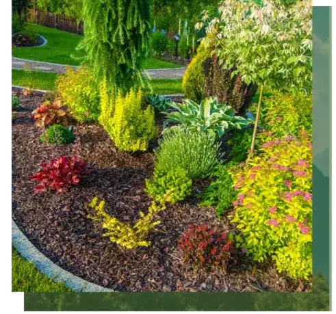 abattage arbre Auray-5