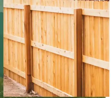 abattage arbre à Baud - image 2