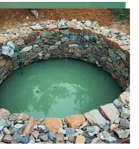 abattage arbre à Baud - image 4