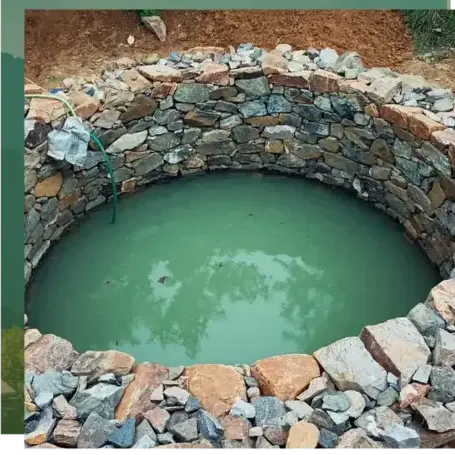 abattage arbre Camors-1