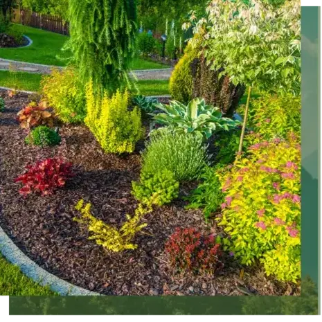 abattage arbre à Camors - image 4