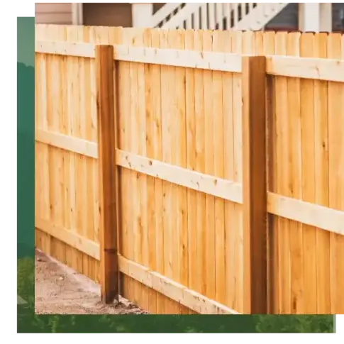 abattage arbre à Étel - image 3