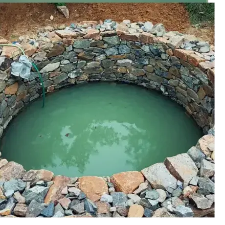 abattage arbre à Étel - image 4