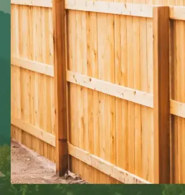 abattage arbre Le Bono-3