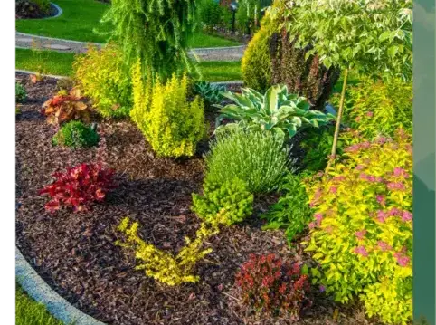 abattage arbre Le Bono-4