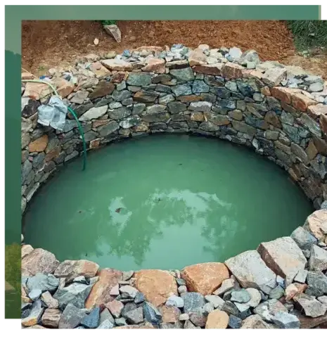 abattage arbre Le Bono-5