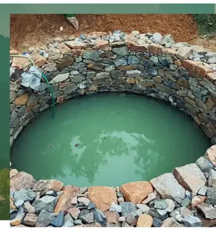 abattage arbre Locoal-Mendon-2