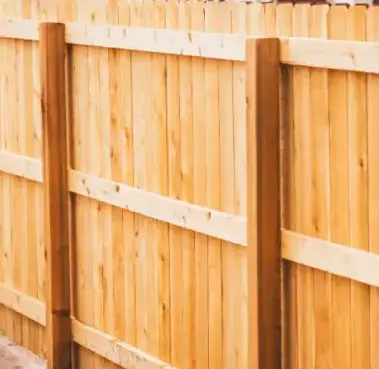 abattage arbre Locoal-Mendon-4