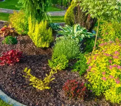 abattage arbre Locoal-Mendon-5