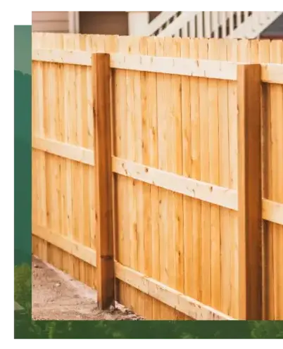 abattage arbre à Lorient - image 3