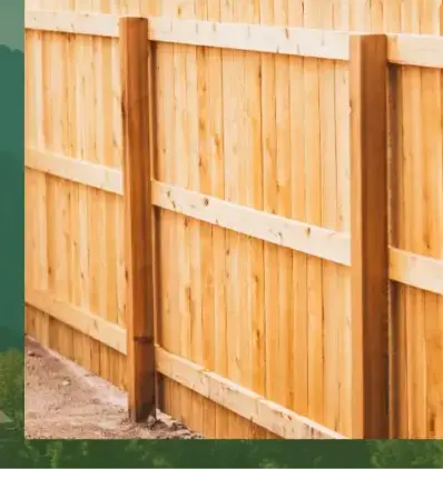 abattage arbre à Pluvigner - image 3