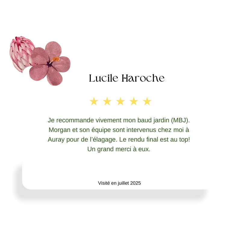abattage arbre pluvigner