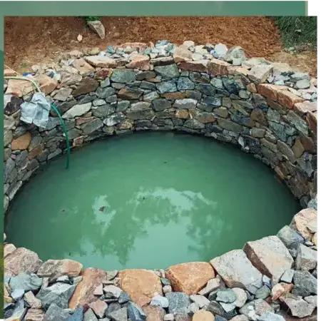 abattage arbre à Quistinic - image 2