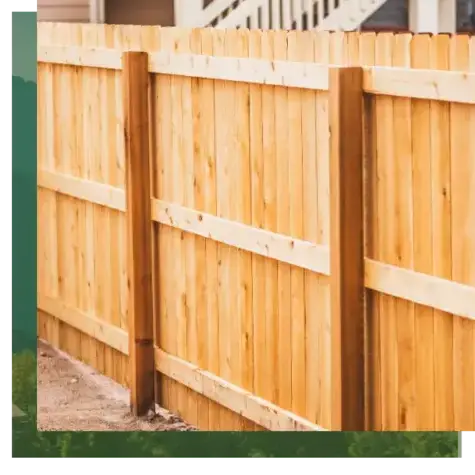 abattage arbre à Quistinic - image 3