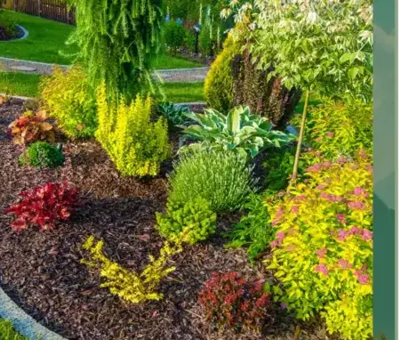 abattage arbre Vannes-1