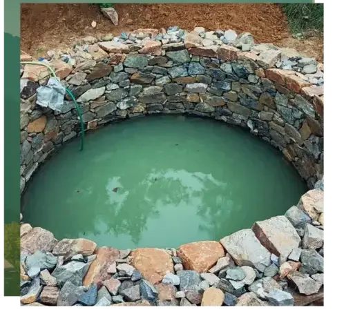 abattage arbre Vannes-3