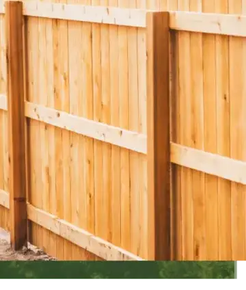 abattage arbre Vannes-5