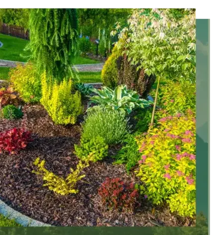 aménagement paysager à Arradon - image 2