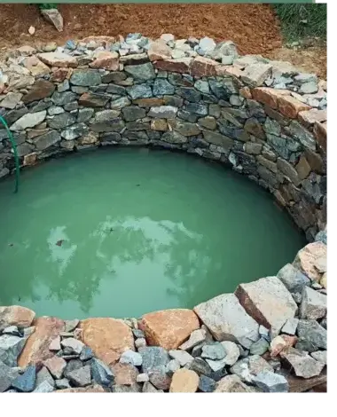 aménagement paysager Arradon-5