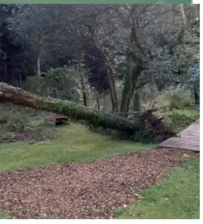 aménagement paysager Auray-2