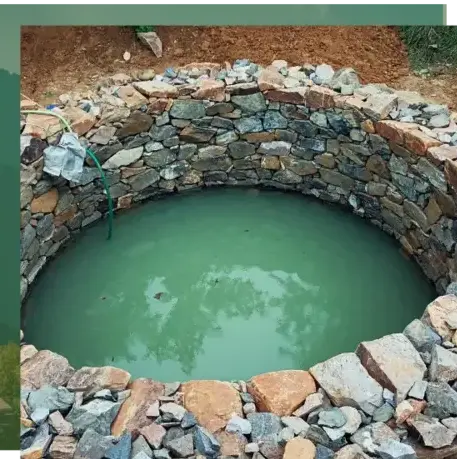 aménagement paysager Auray-3