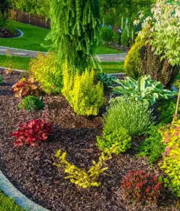 aménagement paysager Auray-5