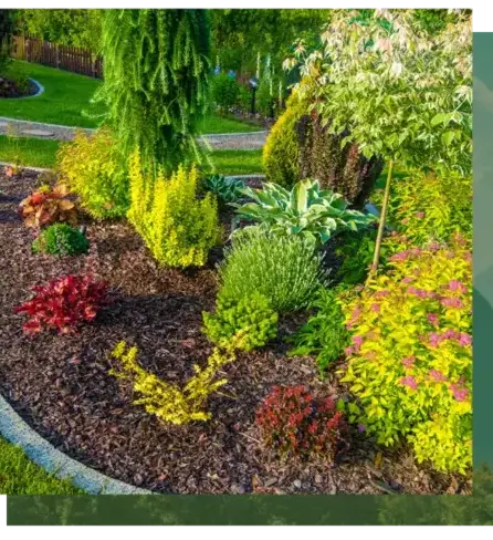 aménagement paysager Baud-1