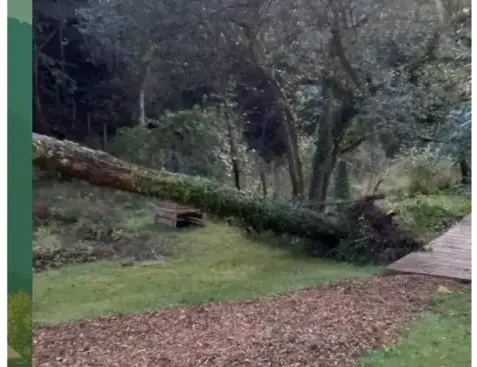 aménagement paysager Baud-5