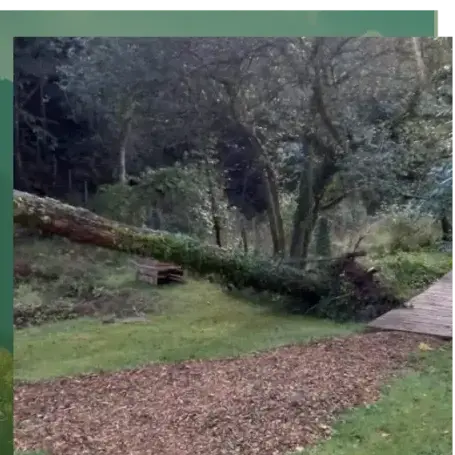 aménagement paysager à Camors - image 4