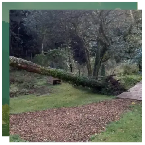 aménagement paysager Étel-1