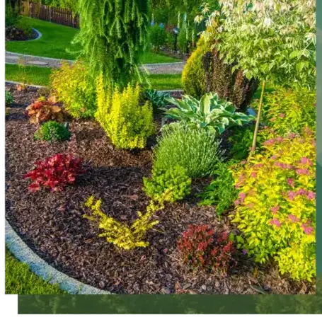 aménagement paysager à Étel - image 2