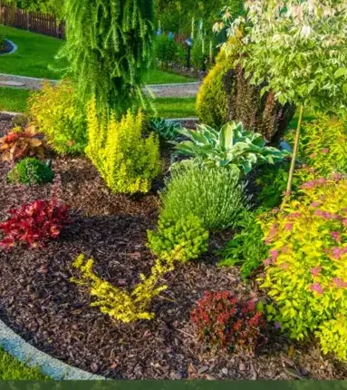 aménagement paysager Le Bono-2