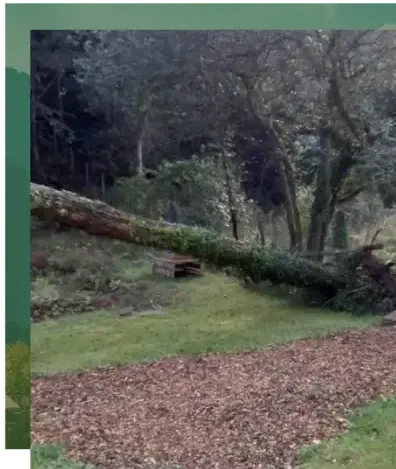 aménagement paysager Le Bono-4