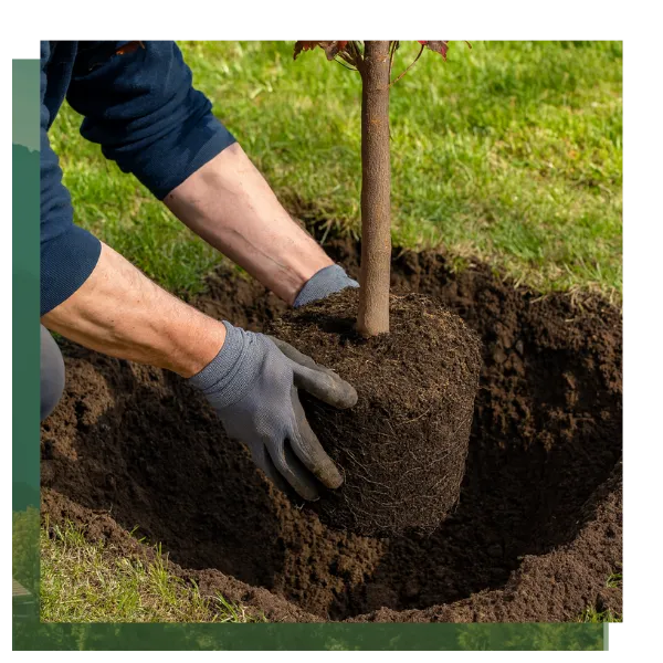 amenagement paysager le bono