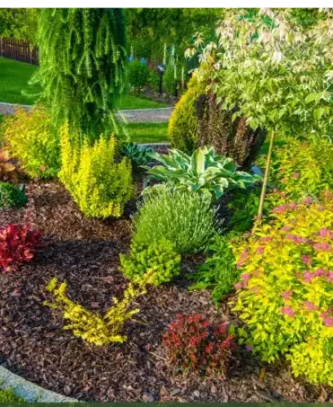 aménagement paysager Locoal-Mendon-4