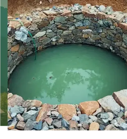 aménagement paysager Lorient-1