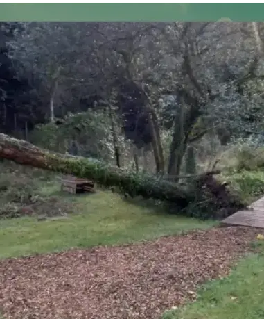 aménagement paysager à Lorient - image 2