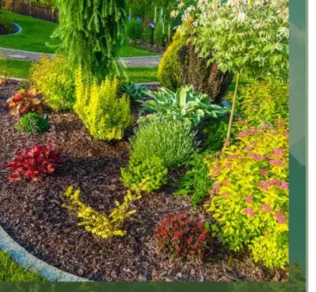 aménagement paysager à Lorient - image 4