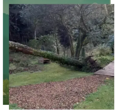 aménagement paysager à Pluvigner - image 2