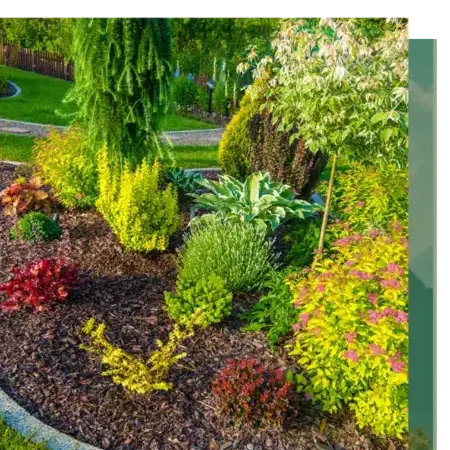 aménagement paysager à Quistinic - image 4