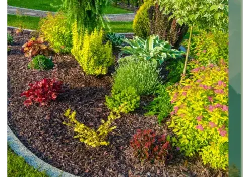 aménagement paysager Vannes-2