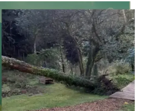 aménagement paysager Vannes-5