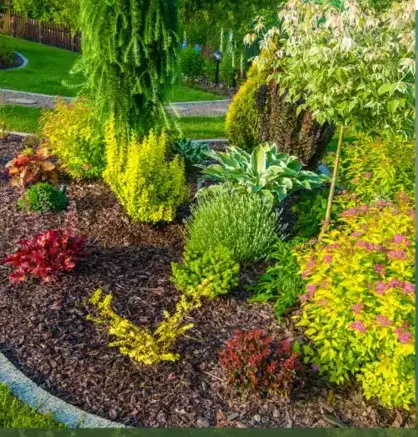 curage de puits à Arradon - image 3