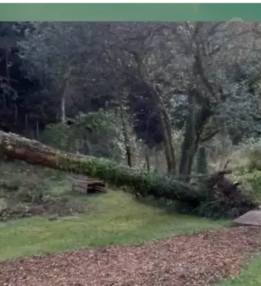 curage de puits à Arradon - image 4