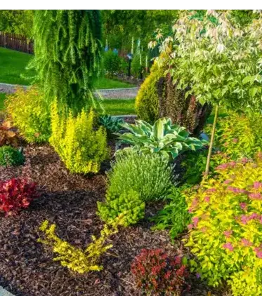 curage de puits Auray-1