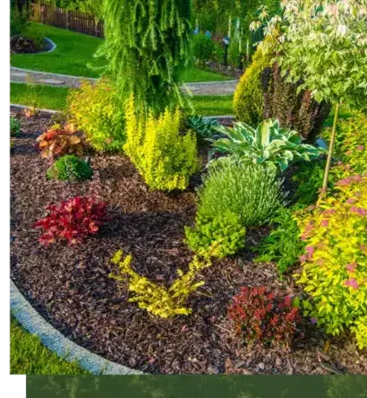 curage de puits Baden-1