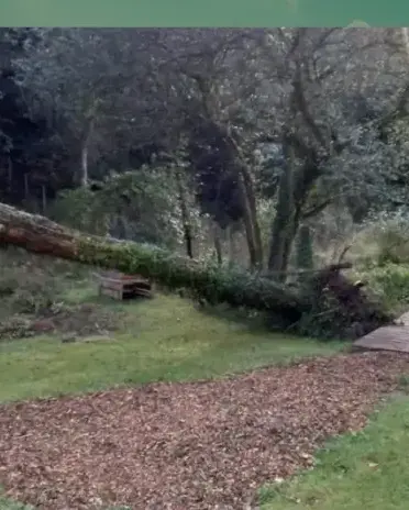 curage de puits à Baden - image 4